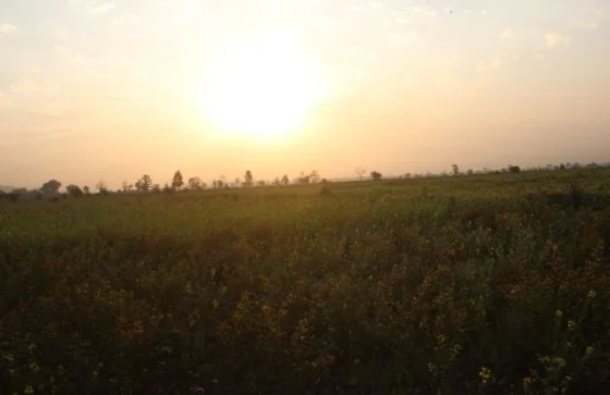 Sunrise behind the Tuar Dal Crop
